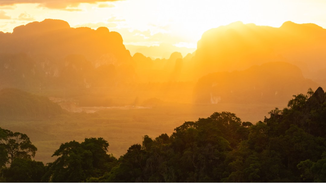 A sunrise scene depicting Mammoth Beard Co Fresh AS scent
