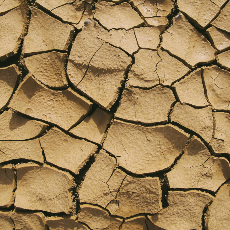 Dry, cracked earth surface representing a dry brittle beard