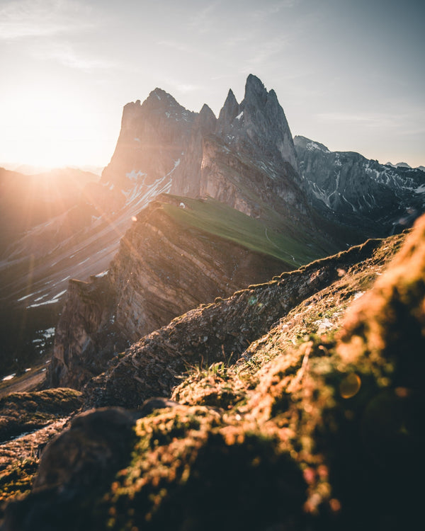 Rocky Mountain Pioneer