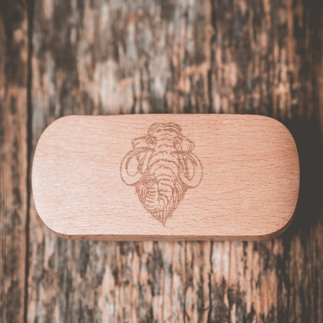 Top view of the MBC Boar&#39;s Hair Brush - High-Quality Boar Bristles and Natural Wood Handle